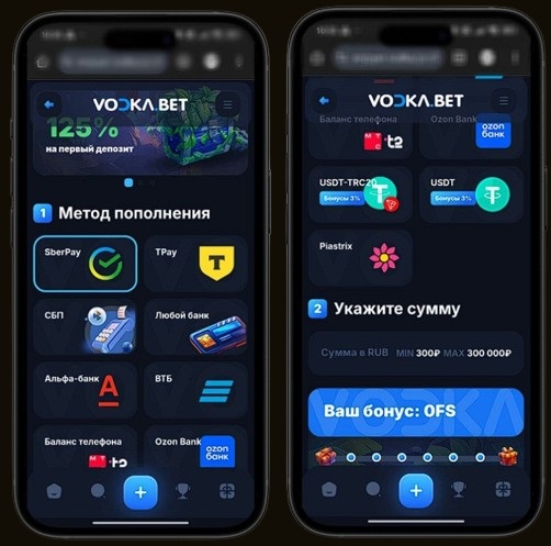 Способы пополнения счета в Vodka Casino