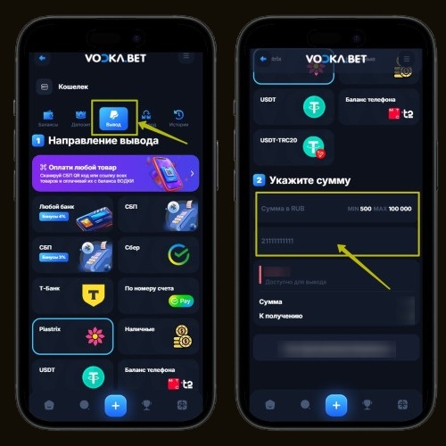 Способы вывода средств